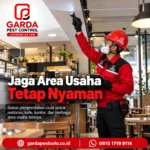 Harga Jasa Basmi Cicak Terbaru