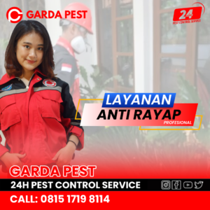 Jasa Pembasmi Rayap Solo