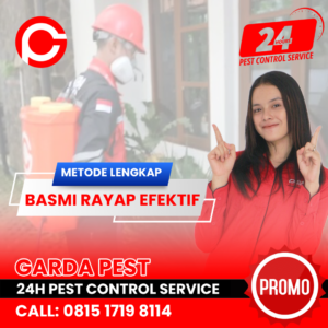 Pembasmi Rayap Alami
