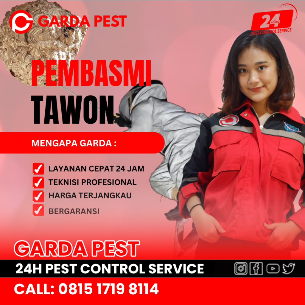 Jasa Pembasmi Tawon di Bantul Berpengalaman dan Profesional