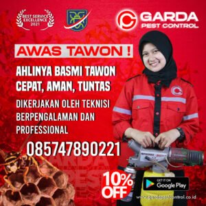 Jasa Pembasmi Tawon di Magelang