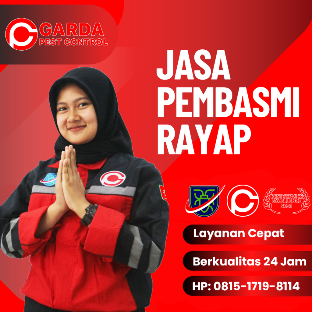 Jasa Anti Rayap Bali Terbaik