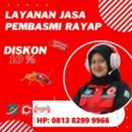 Jasa Anti Rayap Jakarta Profesional dan Bergaransi