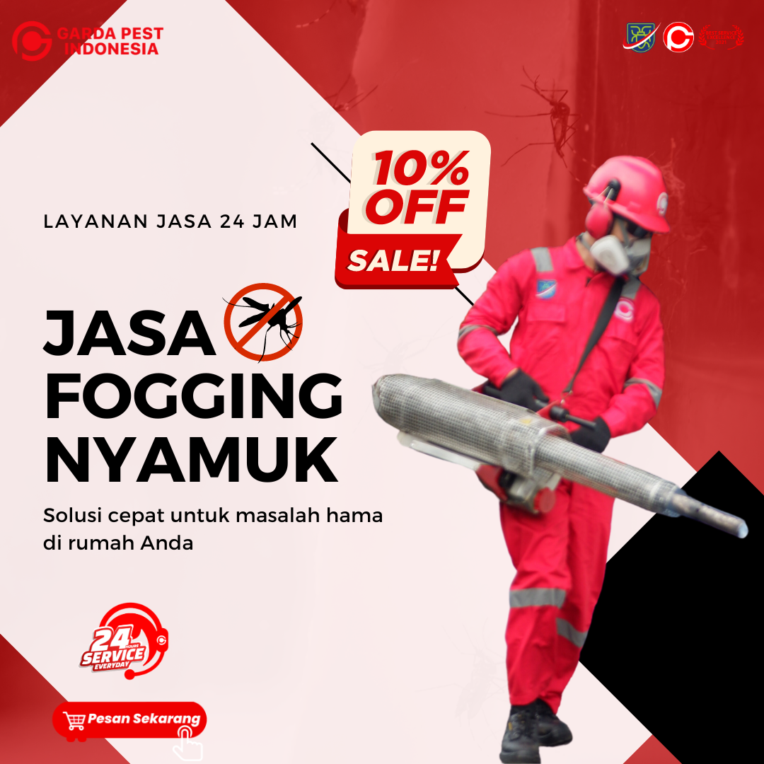 Harga Jasa Fogging Mobil Lampung