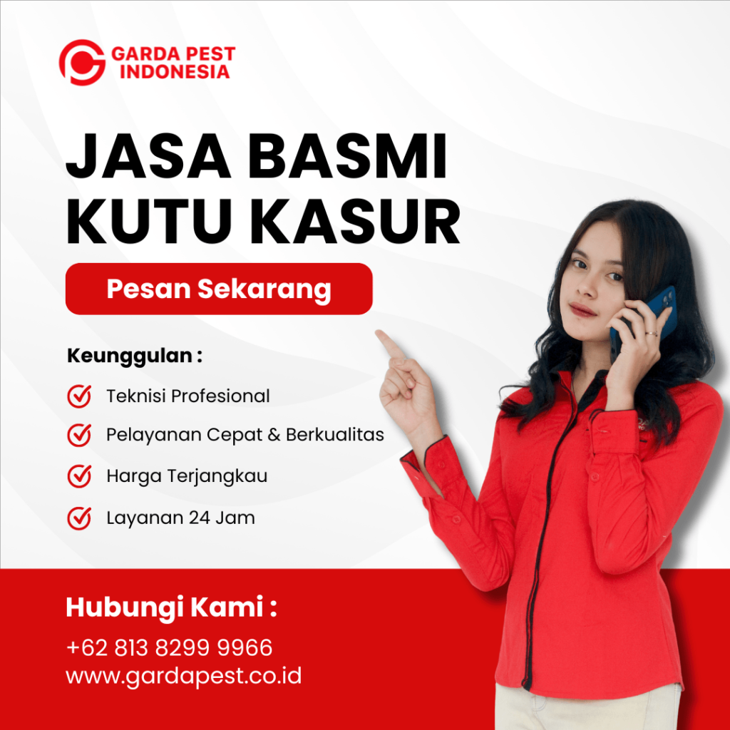 Harga Jasa Pembasmi Kutu Kasur di Cirebon