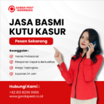 Jasa Pembasmi Kutu Busuk Jakarta : Harga Murah Jasa Pembasmi Kutu Kasur Terdekat