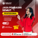 Jasa Pembasmi Semut Solo | Harga Terjangkau Harga Jasa Pembasmi Semut di Solo