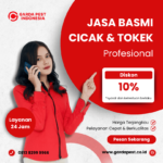 Jasa Pembasmi Cicak Bali | Layanan 24 Jam Jasa Pembasmi Cicak dan Tokek