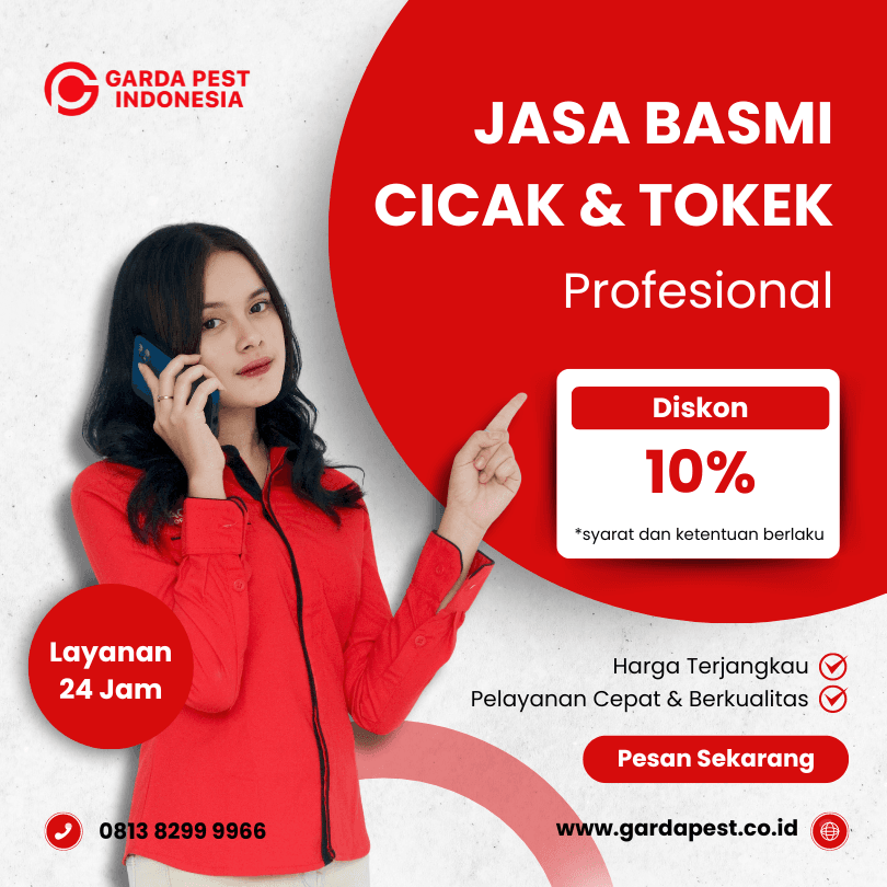 Jasa Pembasmi Cicak Bali