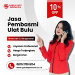 Jasa Pembasmi Ulat Bulu Cirebon | Terbaik No.1 Jasa Pembasmi Ulat Bulu Terdekat