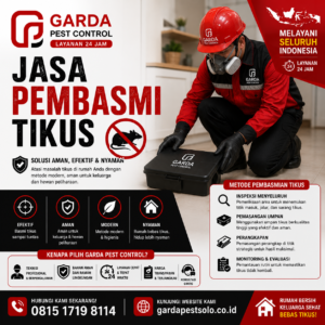 Jasa Pembasmi Hama Tikus Solo Murah: Pilihan Profesional untuk Lingkungan Bebas Hama