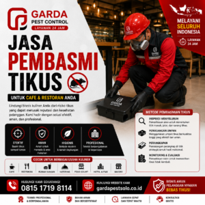 Jasa Pembasmi Tikus Solo Untuk Cafe Resto: Lindungi Reputasi & Higienitas Usaha Anda