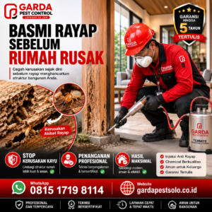 Jasa Pembasmi Rayap Solo Kota hingga Kabupaten Sekitar