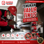 Jasa Pembasmi Tikus Murah di Solo: Basmi Tuntas, Hidup Tenang Kembali!
