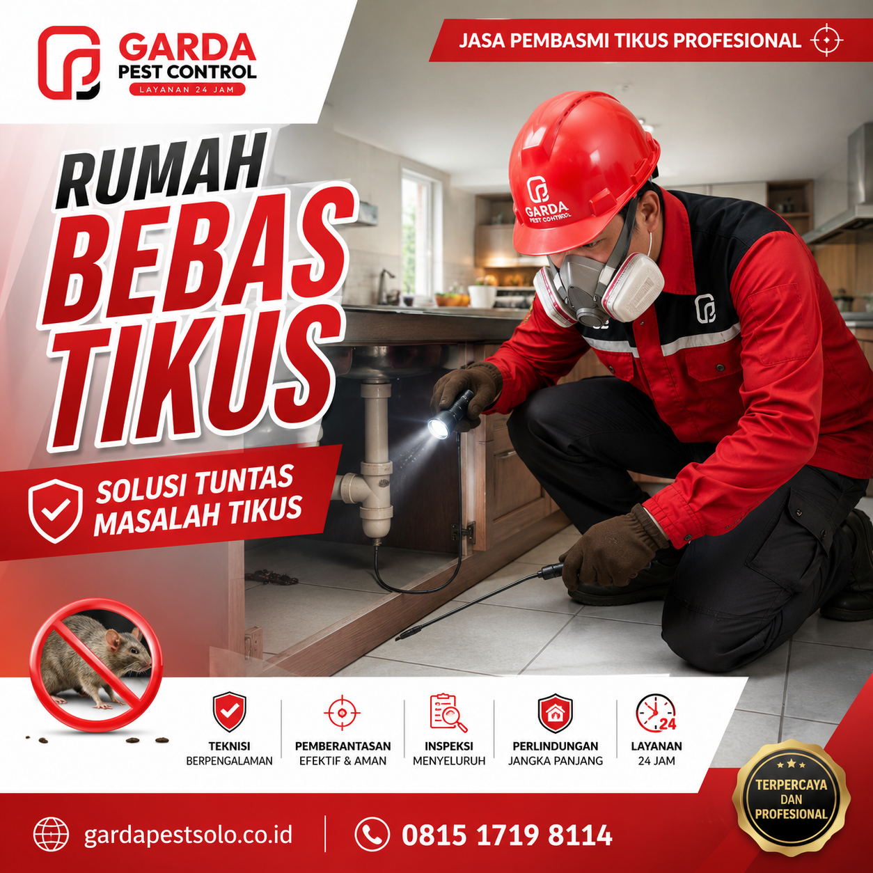 Pembasmi Tikus Profesional Solo: Solusi Efektif Pengendalian Hama Tikus 
