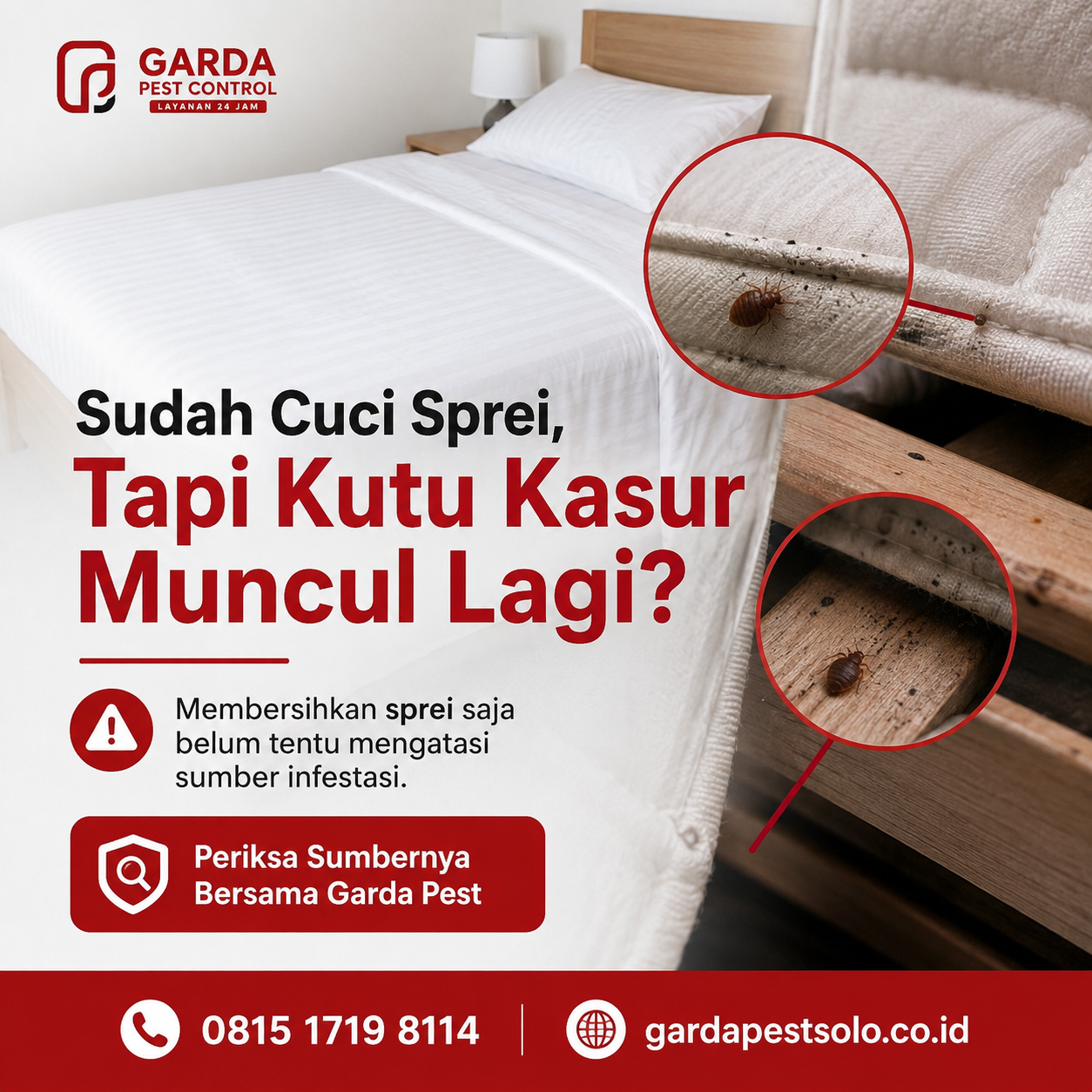 Jasa Pembasmi Kutu Kasur Solo Untuk Hotel Dan Kost: Solusi Tuntas Bebas Serangga Kasur
