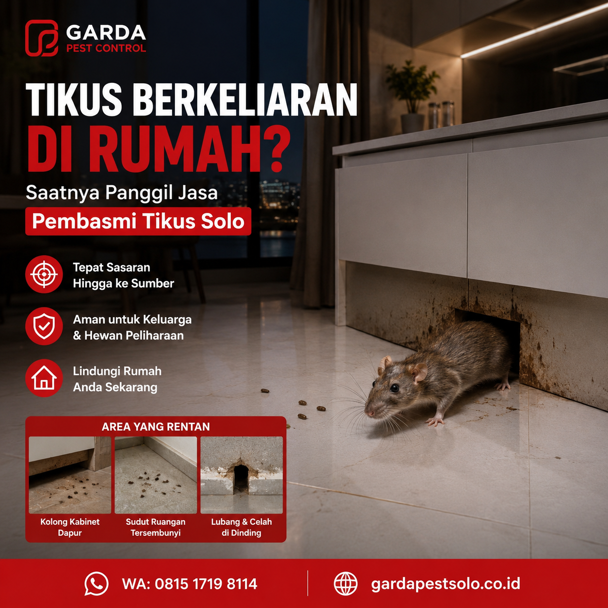 Cara Mencegah Tikus Datang Kembali Pasca Pembasmian Solo yang Efektif