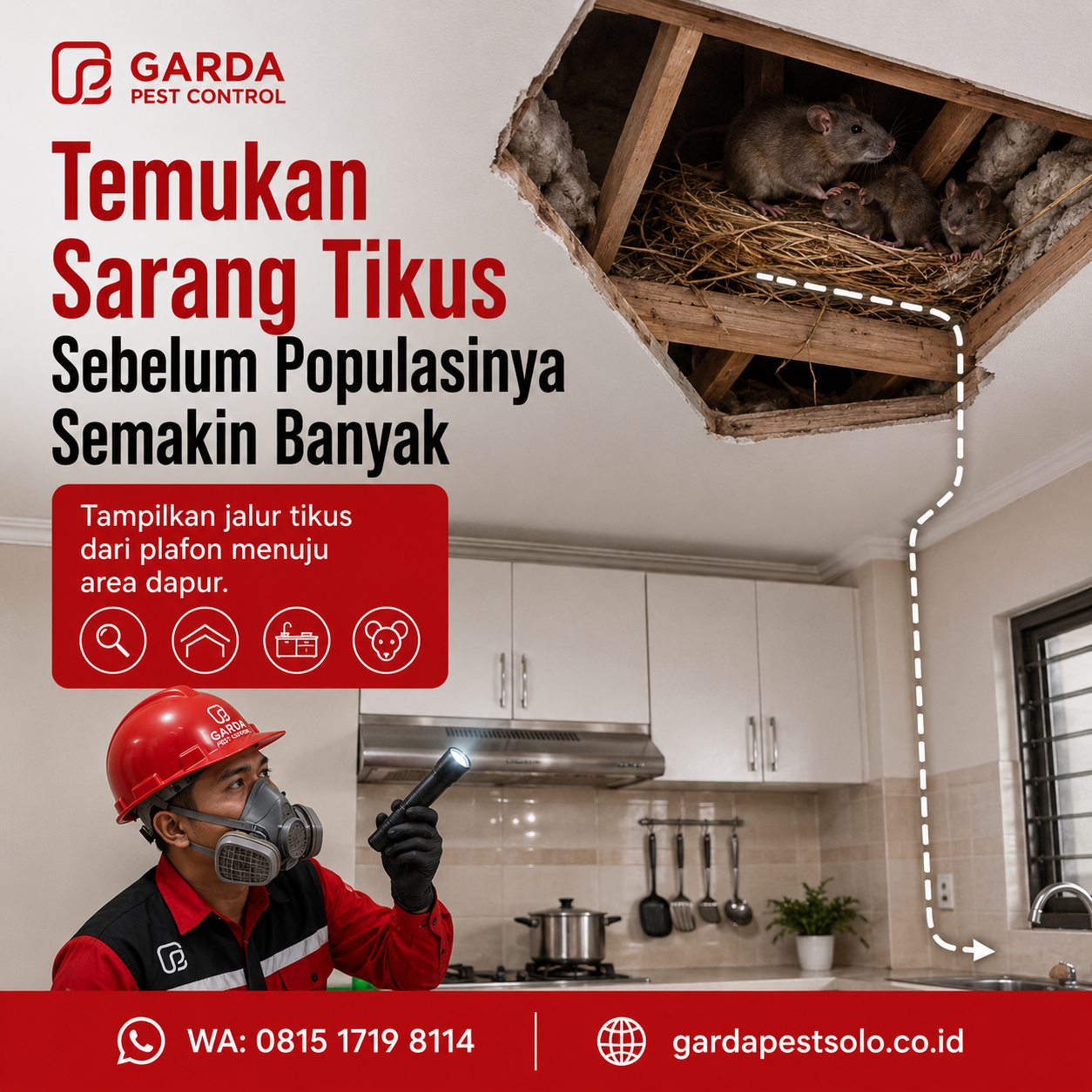 Rincian Biaya Jasa Pembasmi Tikus di Solo dan Panduan Tarif Layanan