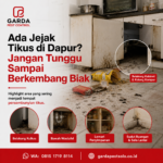 Rincian Biaya Jasa Pembasmi Tikus di Solo dan Panduan Tarif Layanan