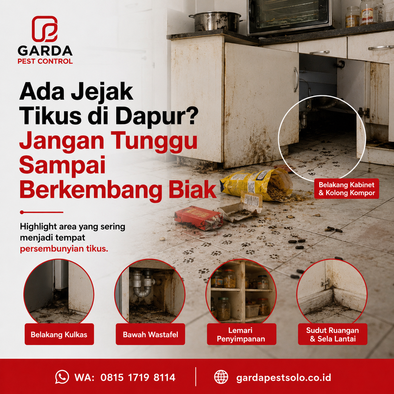 Rincian Biaya Jasa Pembasmi Tikus di Solo dan Panduan Tarif Layanan