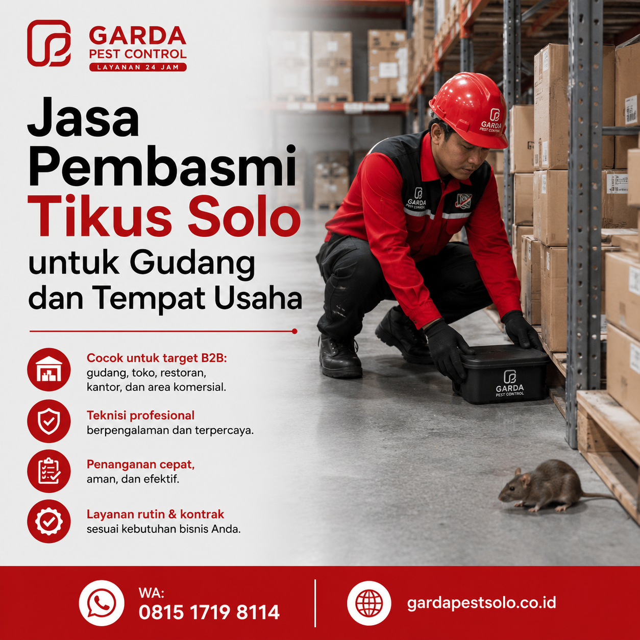Jasa Pembasmi Tikus Restoran dan Gudang Solo: Solusi Tepat Tempat Usaha Bebas Hama