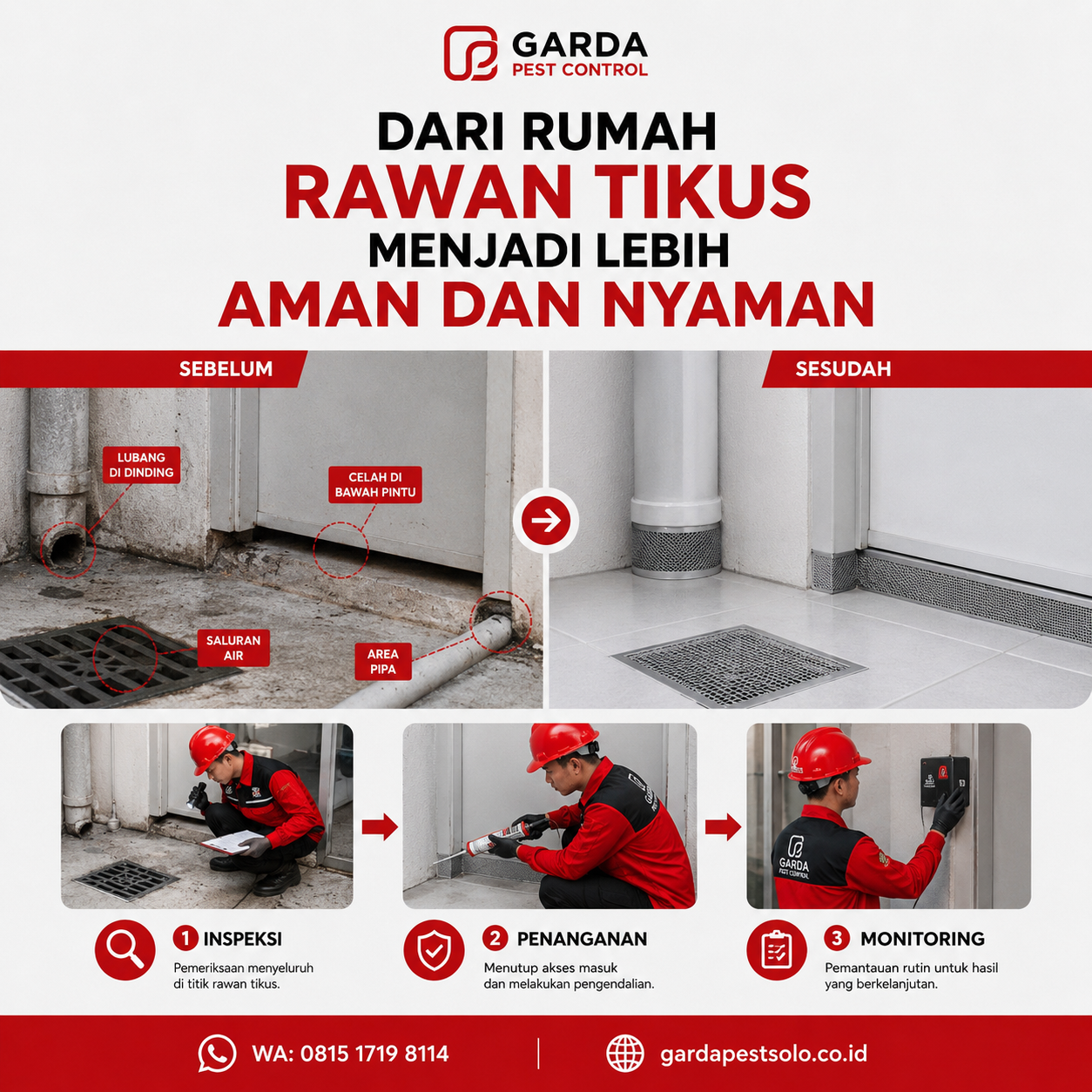 Jasa Pembasmi Tikus Aman untuk Hewan Peliharaan Solo yang Mengutamakan Keselamatan Anabul