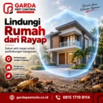 Jasa Anti Rayap di Solo Lindungi Rumah & Aset Anda Dari Kerusakan