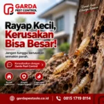 Tips Memilih Jasa Anti Rayap Bergaransi Solo
