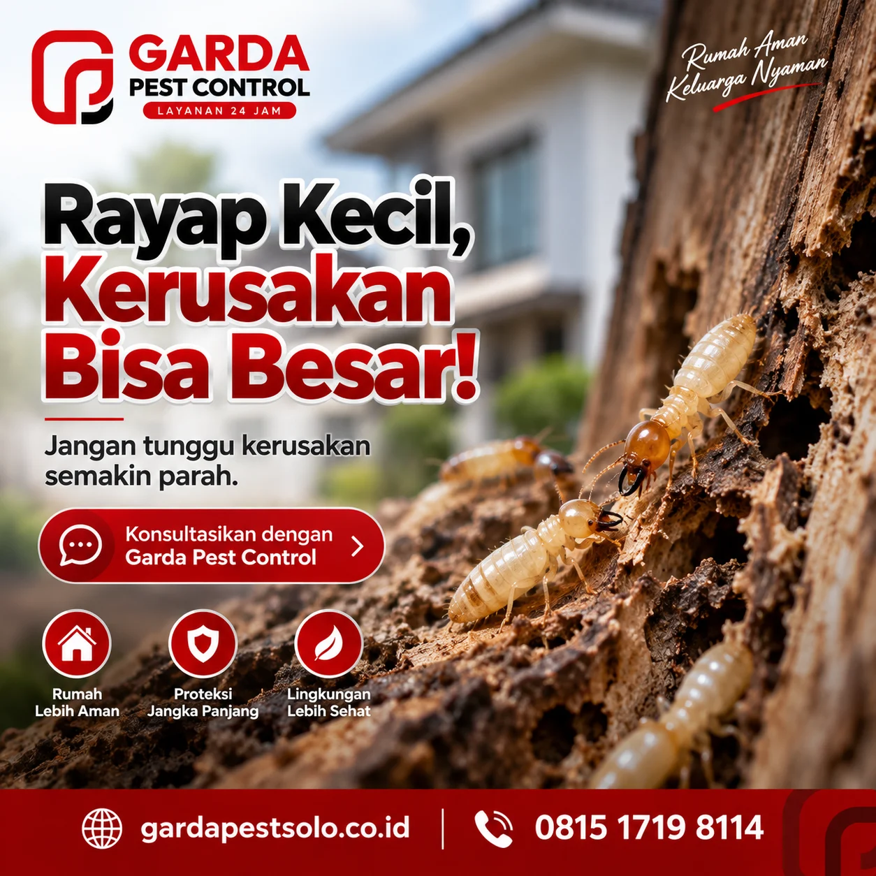 Tips Memilih Jasa Anti Rayap Bergaransi Solo 